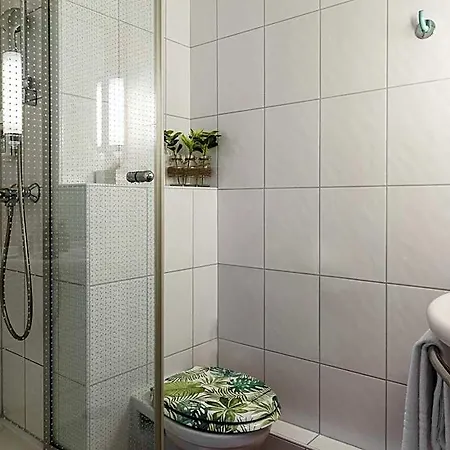 Ibis 3*