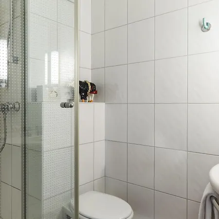 Ibis 3*